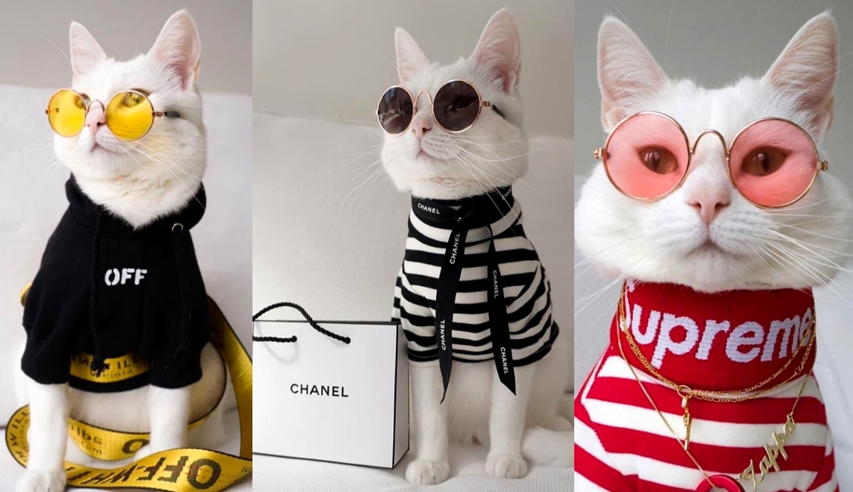 Vogue Beauty Thailand