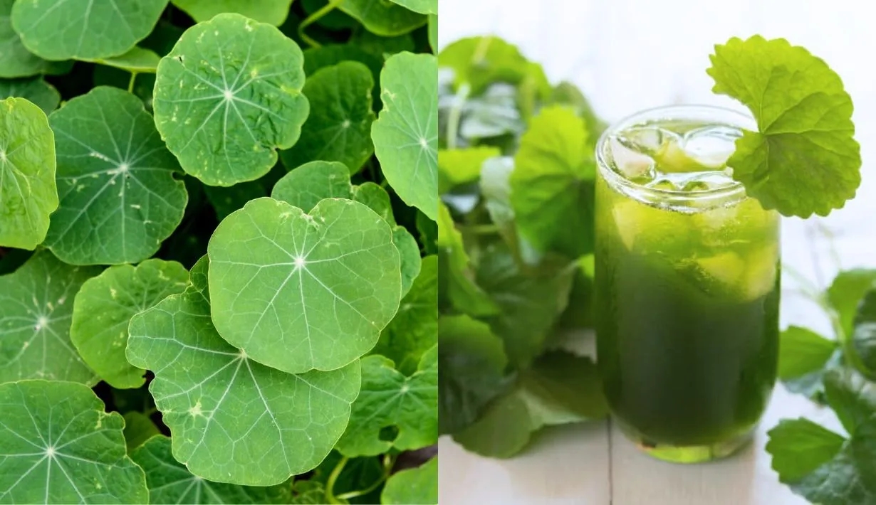 Vogue Beauty Thailand