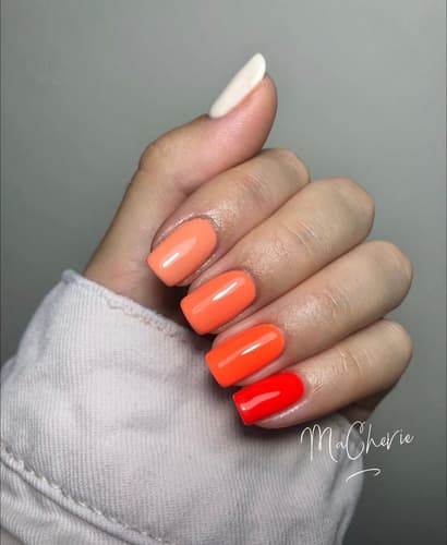 Gallery image 37