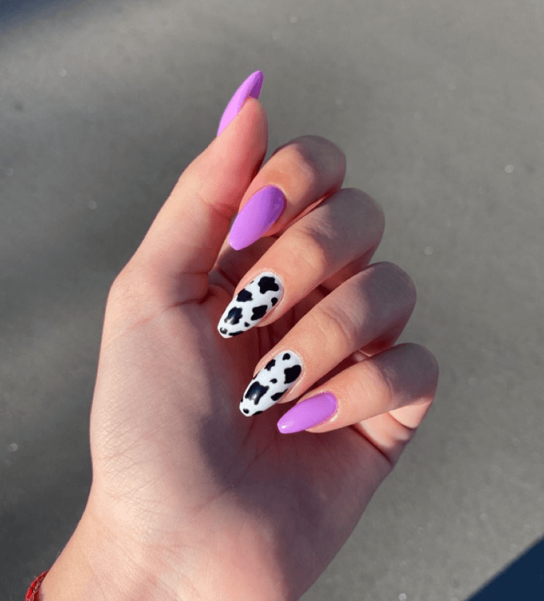 Gallery image 48