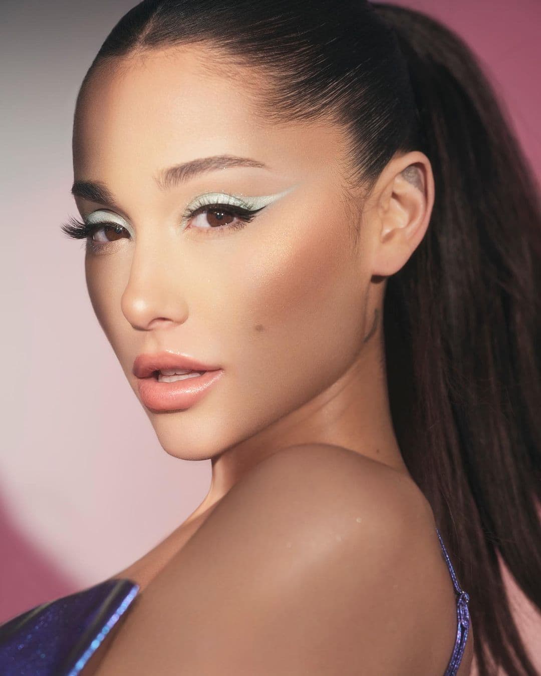 ponytails hair
